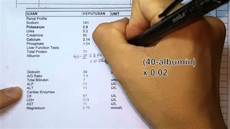 Albumin Corrected Calcium Equation - Tessshebaylo