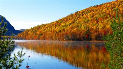 The beautiful fall foliage on Baxter State Park! | Baxter state park, Northern maine, State parks