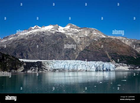 The Grand Pacific Glacier Terminus In Tarr Inlet Glacier Bay Alaska ...