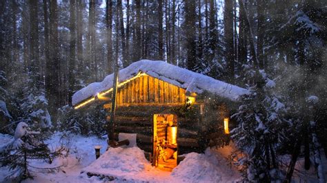 Cabin life: Waiting for the STORM, I hid in a log cabin. FOREST BUNKER - YouTube