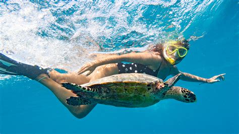 The Best Time To Visit The Galápagos Islands To Snorkel With Turtles