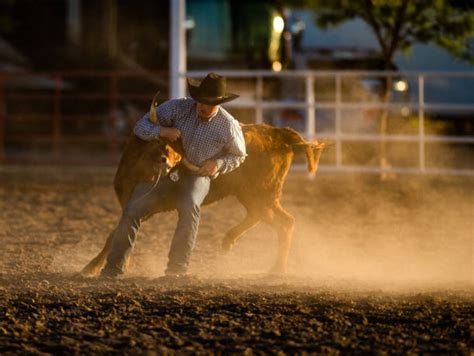 Steer Wrestling Stock Photos, Pictures & Royalty-Free Images - iStock