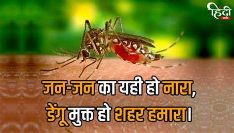 30+ डेंगू पर नारे - Dengue Slogan in Hindi