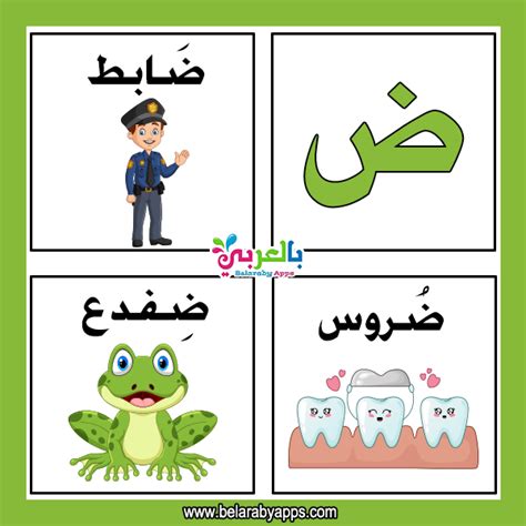 Learn Arabic letter Daad (ض)with words –Alphabet Game ⋆ BelarabyApps