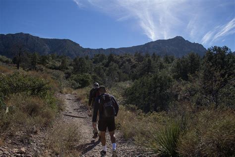 Hiking in the Chisos. Big Bend National Park, Texas : r/texas