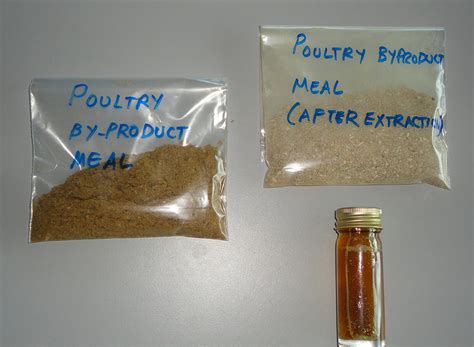 Fat components, energy in poultry byproduct meal provide valuable nutrients to shrimp ...