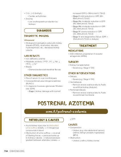 Postrenal azotemia: Video, Causes, & Meaning | Osmosis