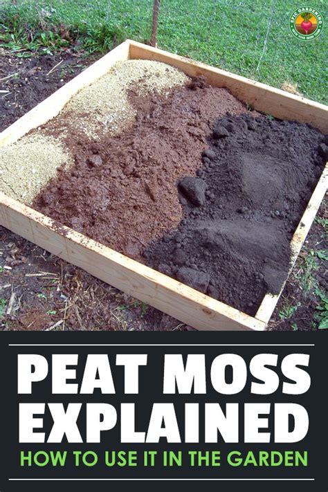 Peat Moss: Our Guide on Using Sphagnum Peat In Your Garden