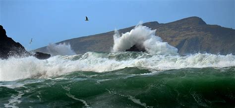 Clogher beach Photograph by Barbara Walsh - Fine Art America