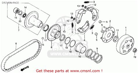 Honda Nq50 Wiring Diagram