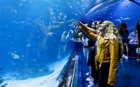 Get Atlantis Aquarium Madrid Tickets | Exclusive Offers & Deals