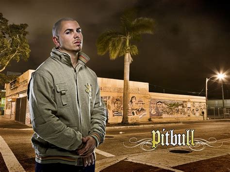 Pitbull Wallpaper: Pitbull aka Mr. 305 | Pitbull the singer, Pitbulls ...