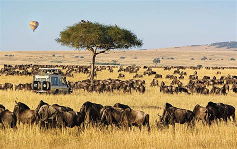 The Maasai Mara Game Reserves - Micato Safaris