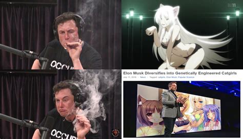 Elon Musk, you know what to do | Elon Musk Smoking Weed | Know Your Meme