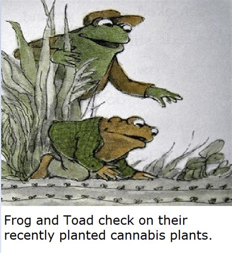 Frog and Toad Memes