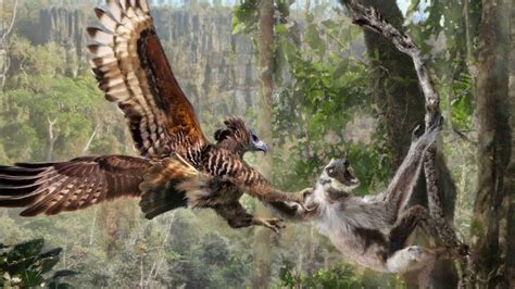 Why are Lemurs Terrified of Predators that don't Exist? - YouTube