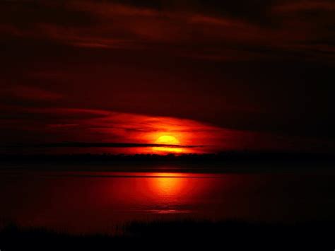 Bayou Sunset Wallpapers - 4k, HD Bayou Sunset Backgrounds on WallpaperBat