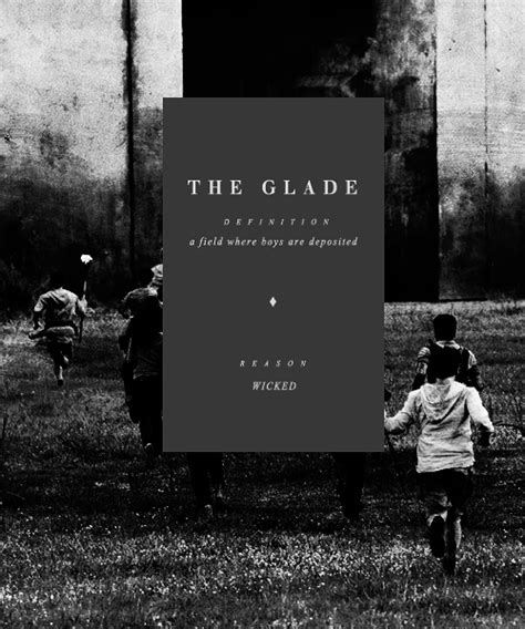 The Glade - The Maze Runner Fan Art (37610533) - Fanpop