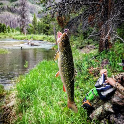 Fly Fishing the Wind River Range, Wyoming