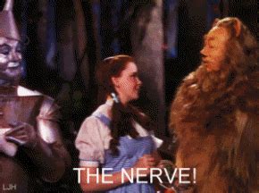 Image - 87342-the-nerve-gif-cowardly-lion-Wi-G8fI.gif | Glee TV Show ...