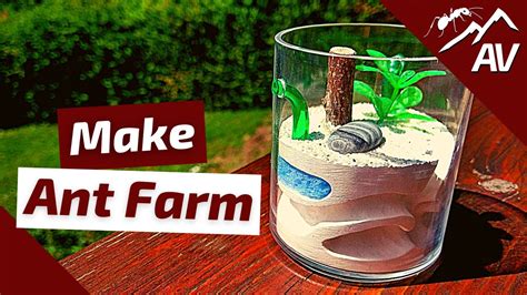 How to Build an Ant Farm | Compact Plaster Formicarium - YouTube