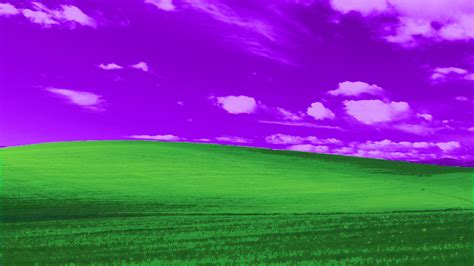 Wallpaper : Windows XP, bliss, vaporwave, glitch art, Microsoft ...