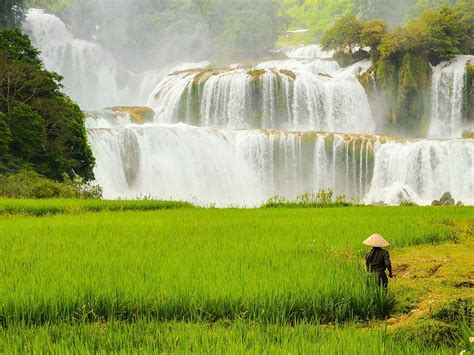 #Travelmagazine: Beauty of the Ban Gioc waterfall in the ripe rice ...