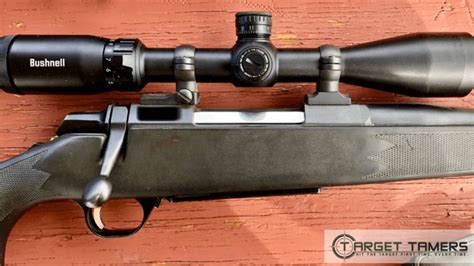 Best Rifle Scope 2024: ALL Budgets, Brands & Types