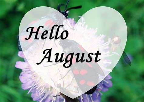 Hello August Pictures, Photos, and Images for Facebook, Tumblr, Pinterest, and Twitter