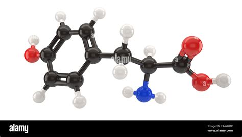 Tyrosine molecule structure 3d illustration with clipping path Stock ...