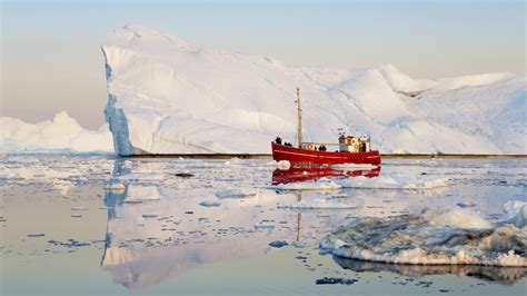 Wild swarms of Arctic icebergs are making shipping companies miserable ...