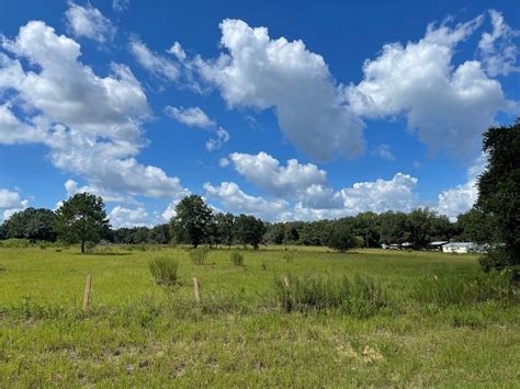 Ocklawaha, FL Real Estate - Ocklawaha Homes for Sale | realtor.com®