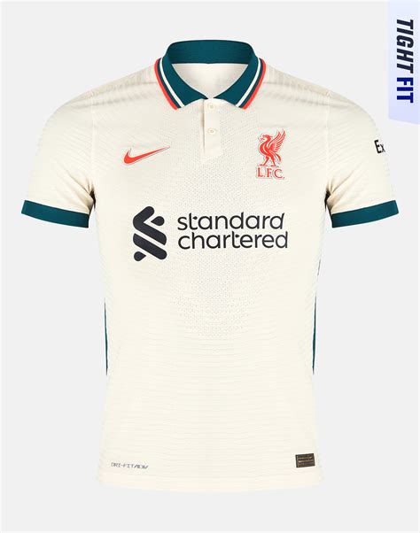 Nike Adult Liverpool 21/22 Vapor Match Away Jersey - Grey | Life Style ...