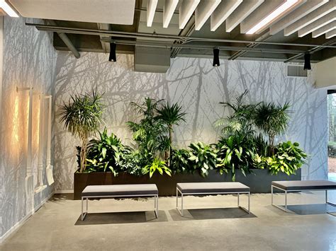 Interior Plants | Interiorscapes, Inc