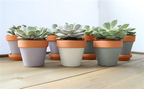 easy DIY painted terra cotta pots - Willow Bloom Home