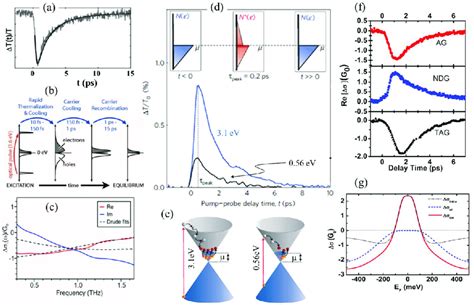 Optical pump-induced THz transient photoconductivity in graphene and... | Download Scientific ...