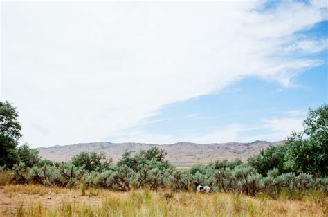 Mona Utah | WEDDING AND FAMILY FILM PHOTOGRAPHER