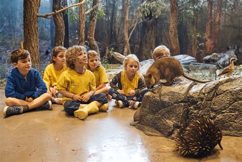 It's all about education at zoos and aquariums