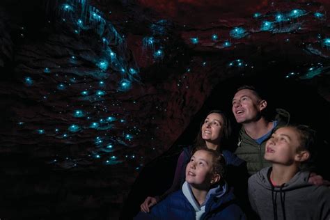 2023 Te Anau Glow Worm Caves Tour provided by RealNZ