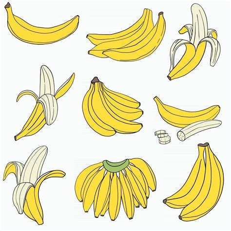 Doodle freehand sketch drawing of banana fruit. 2962152 Vector Art at Vecteezy