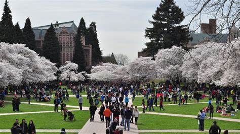 51 rankings of University of Washington & 4071 student reviews 2022