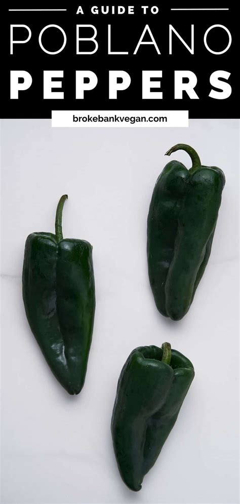 Poblano Pepper Guide (Heat, Flavor, Uses)