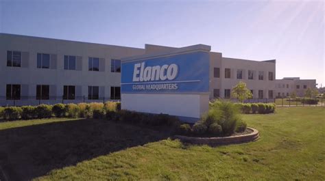 Governance at Elanco