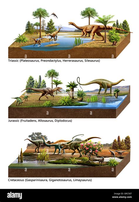 Mesozoic Climate