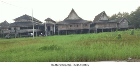 371 Traditional House Dayak Tribe Kalimantan Images, Stock Photos, 3D ...