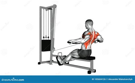 Wide grip seated cable row | solanolabs.com Presents: Seated Cable Row Wide Grip. 2020-05-06