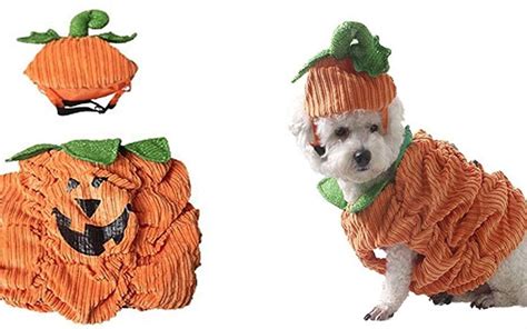 dog pumpkin costume details | ABOUT MORKIES