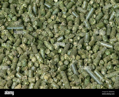 Animal feed pellets hi-res stock photography and images - Alamy