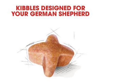 Royal Canin German Shepherd Adult Dry Dog Food 30 lb - Feeders Pet Supply