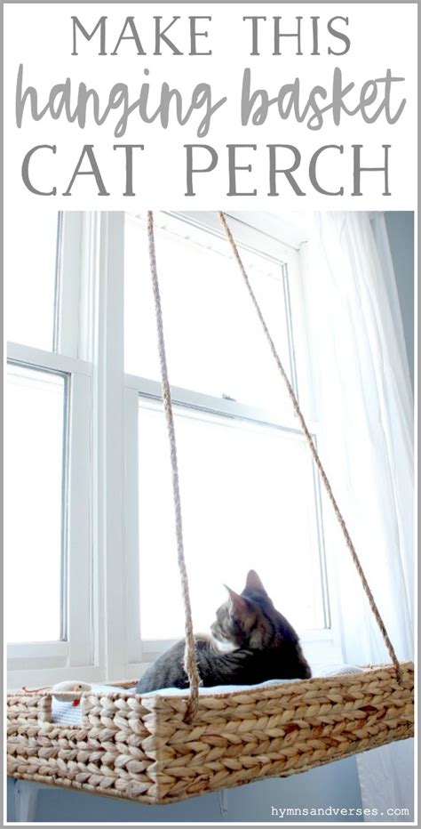 Cat Window Perch DIY - Your Cat Will Love This | Hymns and Verses